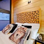 Vika I Wataha - Swietna Lokalizacja W Centrum Zakopanego - Blisko Krupowek I Wyciagu Narciarskiego Chalet