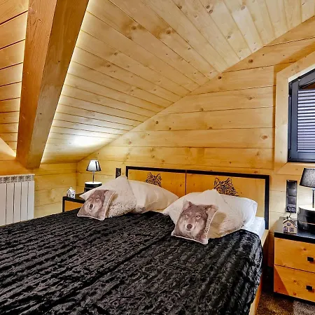 木屋 Vika I Wataha - Swietna Lokalizacja W Centrum Zakopanego - Blisko Krupowek I Wyciagu Narciarskiego 扎科帕内