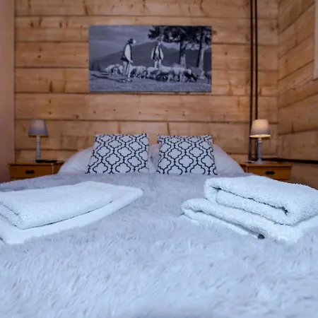 Vika I Wataha - Swietna Lokalizacja W Centrum Zakopanego - Blisko Krupowek I Wyciagu Narciarskiego *