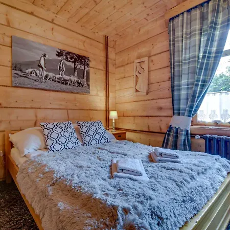 Vika I Wataha - Swietna Lokalizacja W Centrum Zakopanego - Blisko Krupowek I Wyciagu Narciarskiego Chalet
