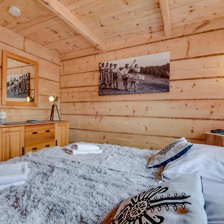 木屋 Vika I Wataha - Swietna Lokalizacja W Centrum Zakopanego - Blisko Krupowek I Wyciagu Narciarskiego