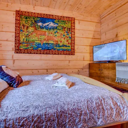 木屋 Vika I Wataha - Swietna Lokalizacja W Centrum Zakopanego - Blisko Krupowek I Wyciagu Narciarskiego *