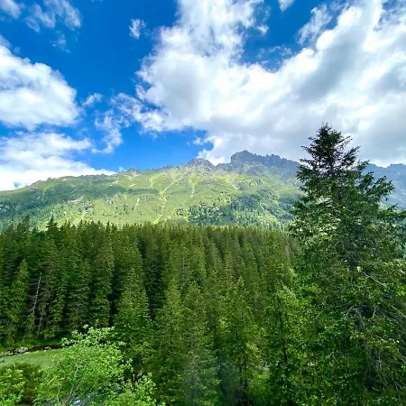 Chalet Vika I Wataha - Swietna Lokalizacja W Centrum Zakopanego - Blisko Krupowek I Wyciagu Narciarskiego Zakopane