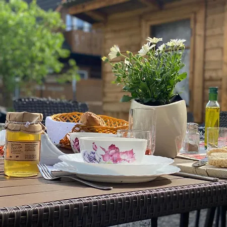 木屋 Vika I Wataha - Swietna Lokalizacja W Centrum Zakopanego - Blisko Krupowek I Wyciagu Narciarskiego *