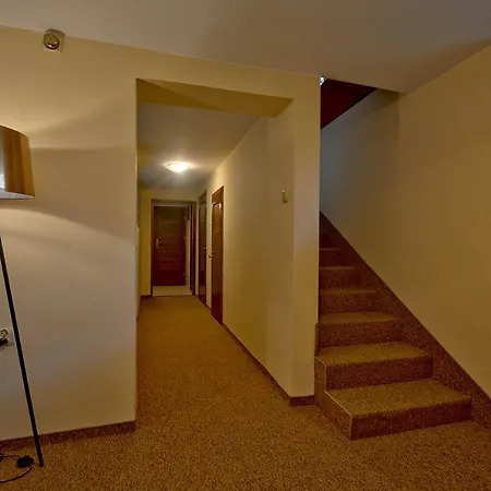 Vika I Wataha - Swietna Lokalizacja W Centrum Zakopanego - Blisko Krupowek I Wyciagu Narciarskiego *