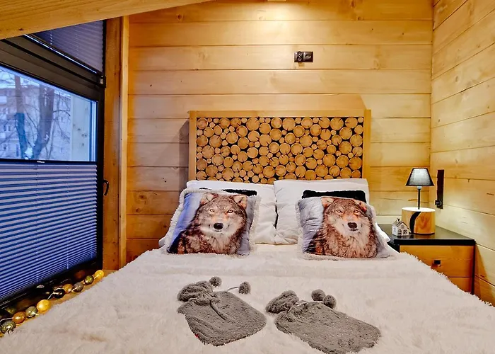 샬레 Vika I Wataha - Swietna Lokalizacja W Centrum Zakopanego - Blisko Krupowek I Wyciagu Narciarskiego 자코파네