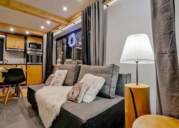 Vika I Wataha - Swietna Lokalizacja W Centrum Zakopanego - Blisko Krupowek I Wyciagu Narciarskiego 샬레 자코파네