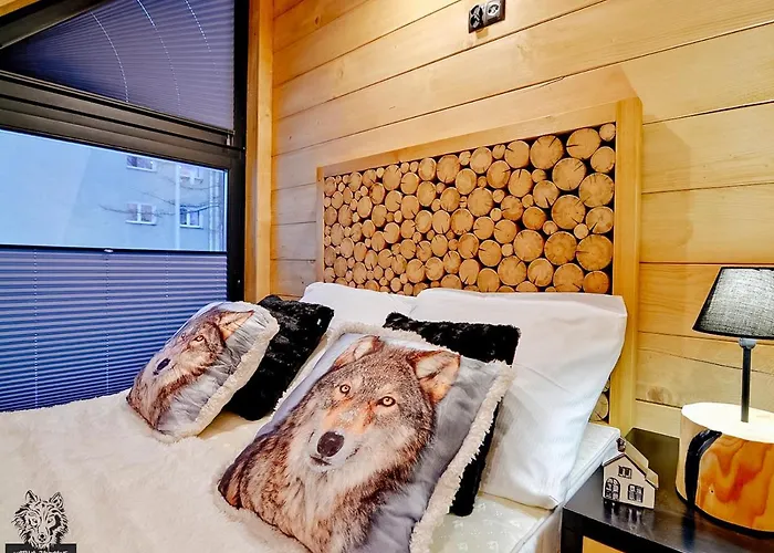 Vika I Wataha - Swietna Lokalizacja W Centrum Zakopanego - Blisko Krupowek I Wyciagu Narciarskiego 샬레