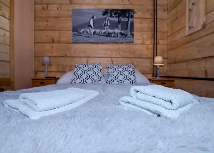 Vika I Wataha - Swietna Lokalizacja W Centrum Zakopanego - Blisko Krupowek I Wyciagu Narciarskiego *