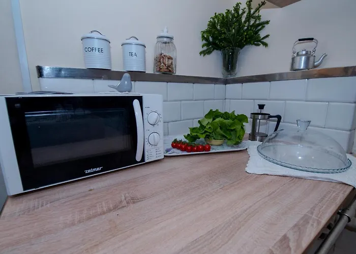 Vika I Wataha - Swietna Lokalizacja W Centrum Zakopanego - Blisko Krupowek I Wyciagu Narciarskiego