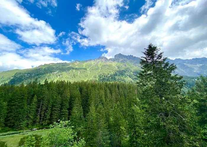 샬레 Vika I Wataha - Swietna Lokalizacja W Centrum Zakopanego - Blisko Krupowek I Wyciagu Narciarskiego 자코파네