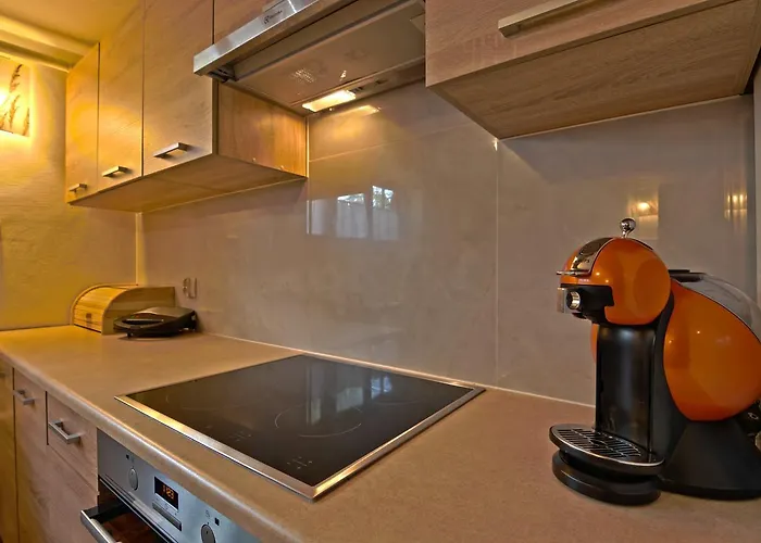 Vika I Wataha - Swietna Lokalizacja W Centrum Zakopanego - Blisko Krupowek I Wyciagu Narciarskiego 샬레